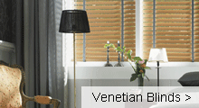 Venetian window blinds